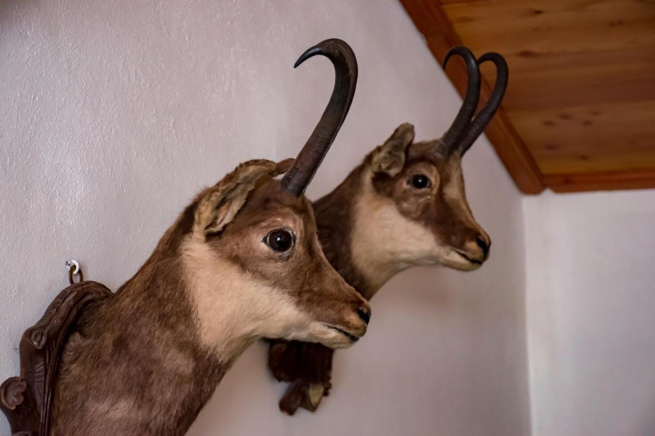 Hotel La Villa Della Regina Gressoney-la-Trinité Buitenkant foto